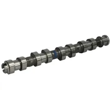 Kolbenschmidt Nockenwelle 50006152