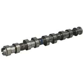 Kolbenschmidt Nockenwelle 50006152