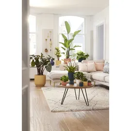 elho Vibes Fold Ø 25 x 23 cm Seidenweiß