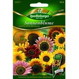 Quedlinburger Sonnenblume ''Summertime Mischung''