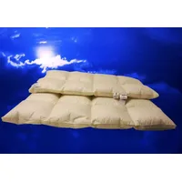 Betten Hofmann 4-Jahreszeitenbett Betten Hofmann Daunendecke 4x6 155x220 100% mas. Gänseflaum Außensteg, Füllung: 100% Gänsedaunen, Bezug: 100% Baumwolle, exklusive, warme Ganzjahresdecke, hypoallergen weiß