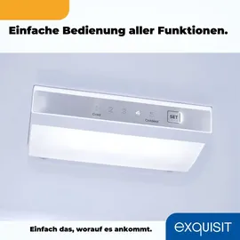 Exquisit KGC195-65-NF-330E Kühl-Gefrierkombination (193 l, 1575 mm hoch, Inoxlook-az)