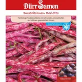 Dürr-Samen Buschbohne Borlotto | Buschbohnensamen von Dürr Samen