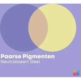 Matrix Total Results Color Obsessed So Silver Conditioner Conditioner für platinblondes und graues Haar 1000 ml