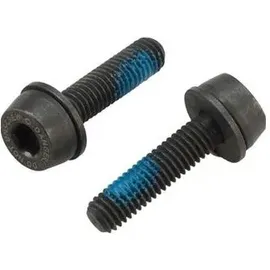 CAMPAGNOLO Schrauben für Flat Mount Bremssattel hinten 24 mm