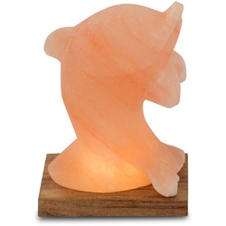 HIMALAYA SALT DREAMS Salzkristall-Tischlampe Delfin, LED wechselbar, Warmweiß, Handgefertigt aus Salzkristall – jeder Stein ein Unikat, H: ca.15 cm orange