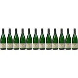 12x Müller- Thurgau, 2023 - Weingut Bosch, Pfalz! Wein