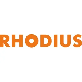 RHODIUS Schleifvlies-Scheibe SVS 115 mm 1 St.