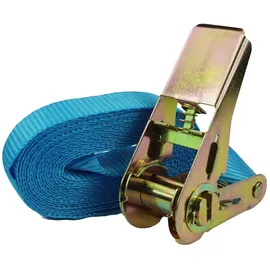 Baumarktplus Spanngurte 10x Profi 4 m 0,8 t
