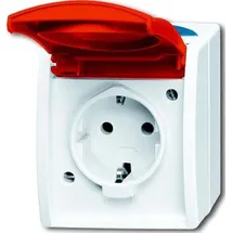 Busch-Jaeger Schuko-Steckdose 20 EW/DVN-53