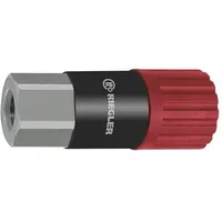 Riegler Dreh-Sicherheitskupplung NW 8, ISO 6150 C, Stahl, G