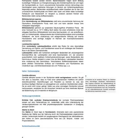 Medivere GmbH Gesundheitscheck Darm