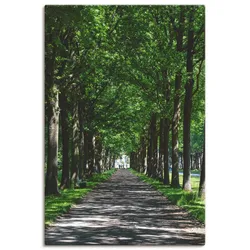Artland Leinwandbild »Allee in der Karlsaue in Kassel«, Bäume, (1 St.), auf Keilrahmen gespannt Artland Farbe Bild(er): grün