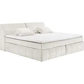 ed exciting design Elkford 240 x 200 cm H2 Beige/Weiß