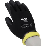 Uvex Unilite Thermo, Tg Nbr-beschichtete Thermohandschuhe - Uvex
