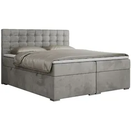 MKS Boxbett, SUSAN 160/200 Hellgrau Velvet - H3