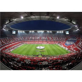 wall-art Fototapete »Bayern München Stadion Choreo Pack Mas«, made in Berlin, bunt