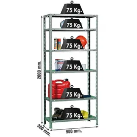 Proregal Lagerregal Metall 200x90x30cm Grau 6 Fachböden