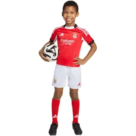 adidas Benfica Lissabon Minikit 2025/26 rot Kinder Gr. 86 cm