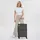 d & n d&n Travel Line 6704 4-Rollen-Trolley 65 cm - grau - Grau