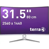 WORTMANN Terra 3280W V3 Silver/White Curved USB-C HDMI Monitor DisplayPort WQHD 2560x1440 Advanced VA AMD FreeSync Flicker-Free Rahmenloses Design