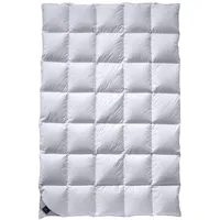 billerbeck Catalina Mono - 155x220cm
