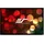 Elite Screens ezFrame
