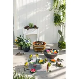 Dehner Kugelschale Ø 52 cm Höhe 20 cm Kunststoff anthrazit
