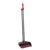 Dirt Devil Kehrgarnitur mit Langem Stiel Grau/Rot