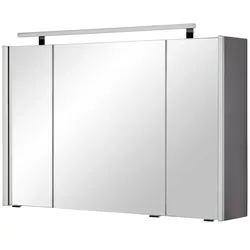 Spiegelschrank   ¦ grau ¦ Maße (cm): B: 100 H: 64 T: 15.0