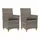 vidaXL Gartenstuhl 53,5 x 64 x 30 cm grau 2 St.