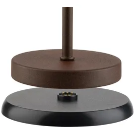 APS MERLE MINI Braun