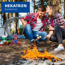 Hekatron Feuerlöschspray Universal, 600 ml ABF, frostsicher
