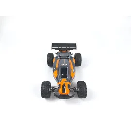 DF-Models RC-Buggy Rookie Fighter 2,4GHz RTR mehrfarbig (3147)