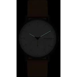 Skagen SKW6889 Herrenarmbanduhr