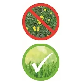 Celaflor Rasen-Unkrautfrei Weedex 400 ml