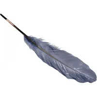 Brunnen Gänsefedern ca. 16 - 21 cm weiß 8 Stück