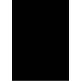 Folia Fotokarton schwarz 70 x 100 cm 300 g/m2 10 Blatt