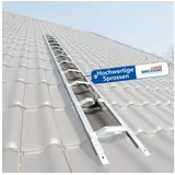 weise steigtechnik Weise Dachleiter 11 Sprossen