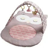 HaPe Hape, Krabbeldecke + Spielbogen, babygym Uil Oscar