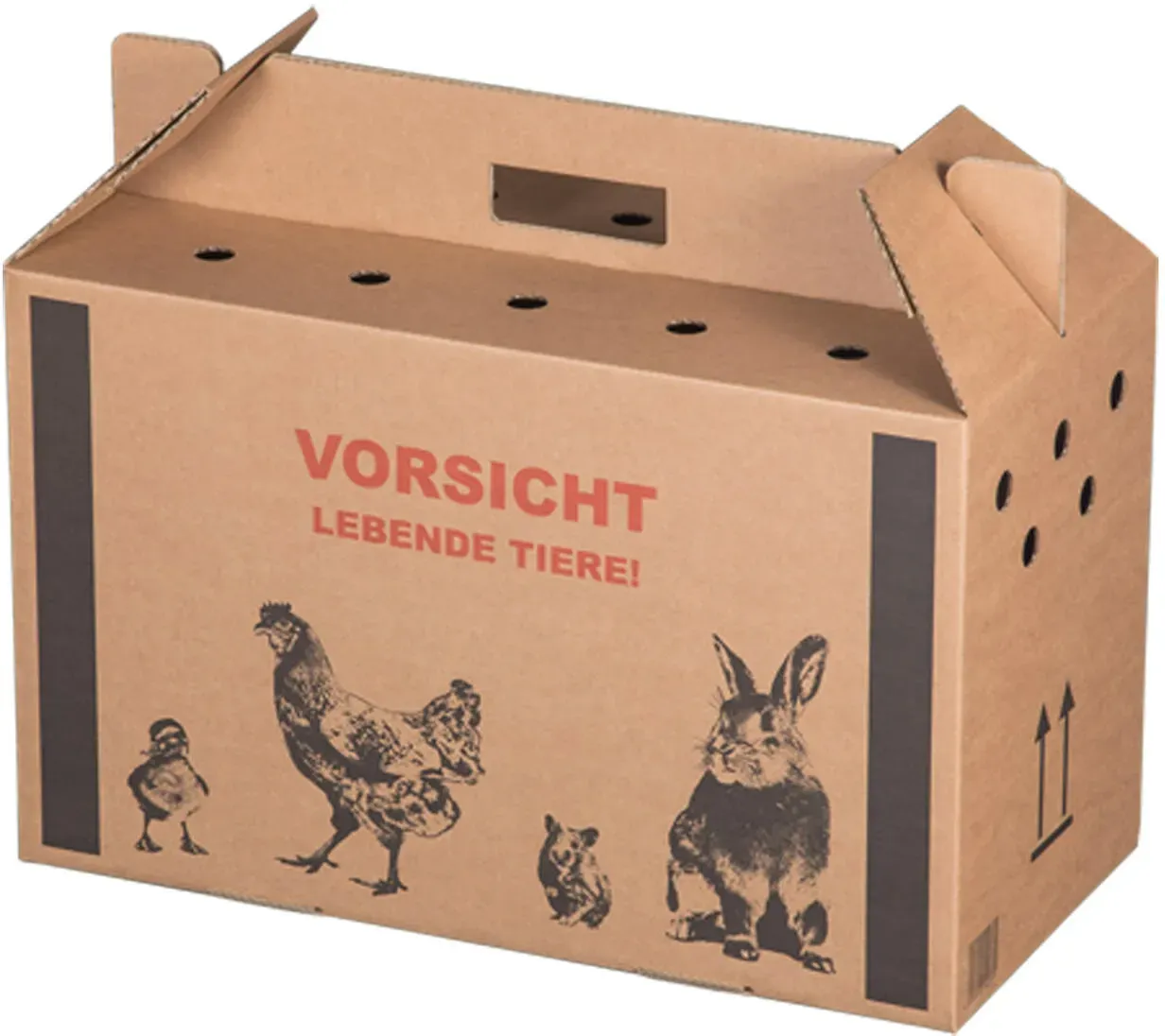 Transportkarton für Kleintiere 480x230x300mm mit Tragegriff, Luftlöchern und Automatikboden - Größe M