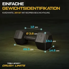 trex sport Kurzhanteln Set 2er Set 10 kg schwarz