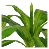 vidaXL Künstlicher Drachenbaum mit Topf 100 cm Grün