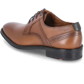 LLOYD Gala | Braun - 46,5