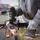 Bosch GWS 17-125 PSB Professional 06017D1700