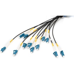 Digitus Vorkonfektionierte Glasfaser Universal Breakout Kabel, Multimode OS2, 12 Fasern, LC/UPC – LC/UPC (LSOH, 50 m), Netzwerkkabel