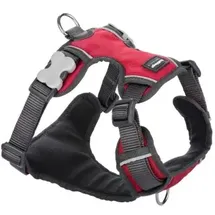Red Dingo Hundegeschirr Gepolstert Rot L