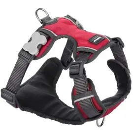 Red Dingo Hundegeschirr Gepolstert Rot L