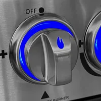 All'Grill ALLGRILL Metallguss Drehknöpfe mit LED-Beleuchtung und Farbwechsler für Chef Gasgrills (50-)