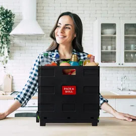 Relaxdays Einkaufstrolley klappbar grün 50 x 48 x 12 cm